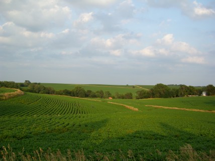 nebraska-usa-soybean-fields-jamie-vesay-100_3091-copy